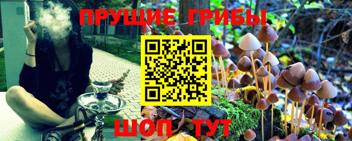 Галлюциногенные грибы мицелий Энгельс